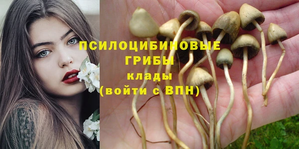 а пвп мука Аркадак